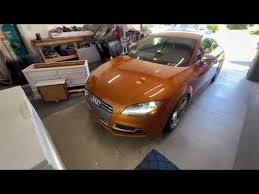Image result for Samoa Orange 2013 TTS