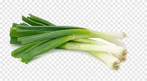 Green onion wegmans 1 serving 10 calories 2 g 0 g 0 g. Scallions Illustration Scallion Shallot Vegetable Garlic Food Organic Vegetables Green Onions Nutrition Cooking Png Pngegg