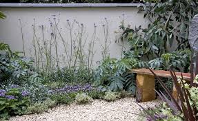 Gartenwissen Absonniger Standort Garten Alles Uber Pflanzen Schattengarten