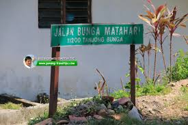 Waktu itu, saya masih dengan 'fikiran bodoh' saya. Jalan Bunga Matahari Tanjung Bungah
