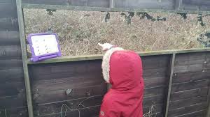 Pilgrim Academy News