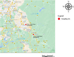 The temperature was 23 degree celsius!!! Lichens Reveal The Quality Of Indoor Air In Selangor Malaysia Springerlink