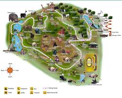 Immagine di Shenzhen Safari Park