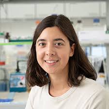 Georg-Speyer-Haus: The Team at Georg-Speyer-Haus