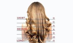 Hair Length Chart Hair Lengths Hair Length Chart Hair Styles