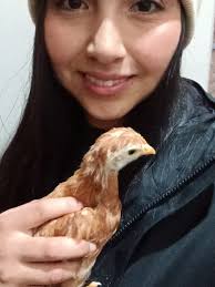 Granjas De Rendimiento En Chile