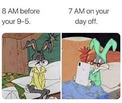 At this time the images were generally used as a reference to drinking alcoholic beverages. Memebase Bugs Bunny All Your Memes In Our Base Funny Memes Cheezburger