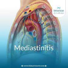 JAV START-220 - Suzu Honjo allures with her art