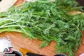 Image result for â«Ø§Ø³Ø§ÙØ³ Ø¨Ø°Ø± Ø´ÙÛØ¯â¬â