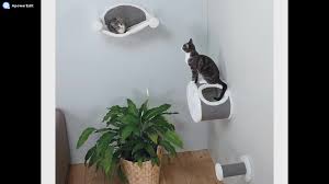 The luxury cat tree house is an innovation in modern cat furniture, the purrfect blend of utility and aesthetics. Luxury Cat Tree House Cat Maze Multiple Level Hammock Steps Lounger Curved Wall Shelf Mounted Castle Bed Perch Cat Shelves Buy Wall Climbing Plush Animal Cat Climber Wall Mounted Cat Tree Product On