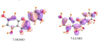 Image result for Manniophyton