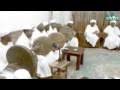 سمعنا مديح أولاد البرعي موقع مجوعة أولاد البرعي. Mp3 ØªØ­Ù…ÙŠÙ„ Ù…Ø¯ÙŠØ­ Ø§ÙˆÙ„Ø§Ø¯ Ø§Ù„Ø¨Ø±Ø¹ÙŠ Ø¨Ø§Ù„Ø³Ø±ÙŠØ­Ù‡ Ø£ØºÙ†ÙŠØ© ØªØ­Ù…ÙŠÙ„ Ù…ÙˆØ³ÙŠÙ‚Ù‰