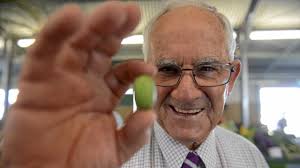 Worlds smallest cucumber wins big at the Grafton Show