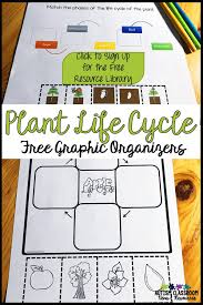 Swbat describe the life cycle of a plant, including reproduction. Science In The Special Education Classroom Plant Life Cycle Autism Classroom Resources