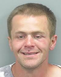 Fleeing suspect struggles with police