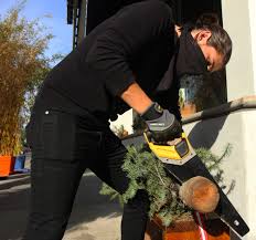 Christmas tree shop catalina patio set. Spreading Holiday Cheer Community Rallies Around Restaurant Turned Christmas Tree Lot Long Beach Business Journal