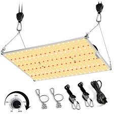 While researching on their website you will find that the company doesn't provide many details. Top 10 Led Growlights Of 2021 Best Reviews Guide