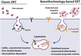 Check spelling or type a new query. Nanotechnology Based Approaches For Treating Lysosomal Storage Disorders A Focus On Fabry Disease Abasolo Wires Nanomedicine And Nanobiotechnology Wiley Online Library