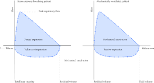 Interpreting The Shape Of The Flow Volume Loop Deranged Physiology