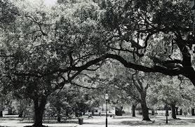 We did not find results for: Charleston Sc Battery Park In Charleston Sc Photo Picture Image South Carolina At City Data Com