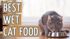 We did not find results for: Best Wet Cat Food 2021 Cat Care Advices