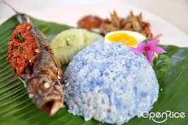 She can often be found sunbathing on the beach. Next Project Projek Nasi Lemak Openrice Malaysia