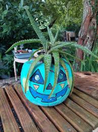 Image result for Aloe bukobana