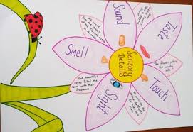 Sensory Details Anchor Chart Hand Drawn By Suzanne Pettine