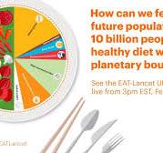 The Diet of the Future - EAT-Lancet UN Launch