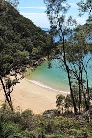 Barrenjoey beach and palm beach golf club are also within 15 minutes. Stunning Walk To West Head Lookout In Ku Ring Gai Chase National Park Beautiful Beaches Australia Beaches Travel Destinations Australia
