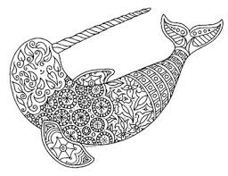 Narwhals coloring pages coloring pages mother father and. Narwhal Zentangle Coloring Page By Pamela Kennedy Tpt