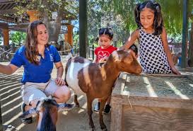 We had so much fun with the baby goats (kids), baby sheep (lambs), donkey, llama, bunnies and pony rides! Best Petting Zoos Around La Where Kids Can Get Their Animal Fix Mommypoppins Things To Do In Los Angeles With Kids