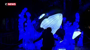 On dit d'ailleurs que ce sont des plantes d'ombres. Paris Un Ocean De Lumiere Deferle Au Jardin Des Plantes Pour Noel Youtube