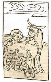 Milch – Wikipedia