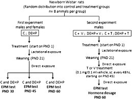 Prenatal diagnosis means diagnosis before birth. Antiandrogenic Effect Of Perinatal Exposure To The Endocrine Disruptor Di 2 Ethylhexyl Phthalate Increases Anxiety Like Behavior In Male Rats During Sexual Maturation Sciencedirect