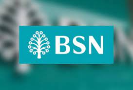 *hanya memerlukan ic & slip gaji untuk semakan kelayakan. Semak Status Kelayakan Pinjaman Peribadi Bsn Online 2020