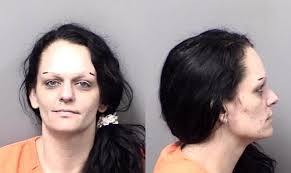 CCSO arrest three at Homosassa home