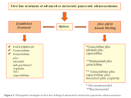 First Line Treatment For Metastatic Pancreatic Adenocarcinoma Looking For The Step Forward Insight Medical Publishing