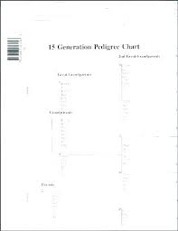 Blank Pedigree Chart 4 Generation Kozen Jasonkellyphoto Co