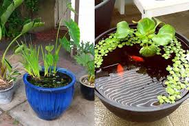 Kondisi kolam ikan menentukan baik tidaknya pertumbuhan ikan. Desain Menarik 10 Ide Kolam Ikan Terbuat Dari Pot Bekas Dailysia