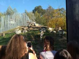 Save air hotel to your lists. Exkurze Zoo Hodonin Cirkevni Zakladni Skola Ve Veseli Nad Moravou