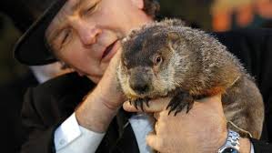La marmota phil pronostica seis semanas más de invierno en eeuu. Dia De La Marmota 2020 Que Es El Dia De La Marmota