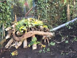 Diy Igelhaus Anleitung Fur Ein Igelhaus Aus Totholz Igelhaus Kleiner Garten Naturgarten