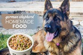It seems no matter how many puppies you have, a new dog always involves a mad rush to figure out exactly how to feed her. The Ultimate German Shepherd Homemade Food Guide Recipes Adult Puppy Canine Bible