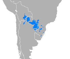 Paraguay para birimi olan 1 paraguay guaranisi kaç türk lirası miktarıyla satın alınabilir öğrenmek için tıklayın. Guarani Language Wikipedia