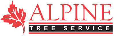 Alpine Tree Service