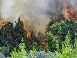 Η φωτιά βρίσκεται σε περιοχή με χαμηλή βλάστηση και καίει ξερά χόρτα και πουρνάρια, με αποτέλεσμα να είναι υπό έλεγχο για την ώρα. Yyk3ixw Qfti4m