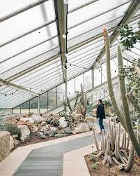 Dreamstime is the world`s largest stock photography community. Here S Magnus Checking Out A Cactus Meanwhile In Sheffield Snow Well The Smallest Amount Of Snow Possible For I Winter Garden Glass Green House Dream Garden