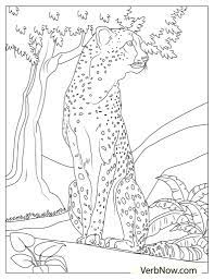 Terry vine / getty images these free santa coloring pages will help keep the kids busy as you shop,. Free Cheetah Coloring Pages For Download Printable Pdf