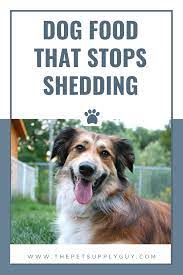 Best Dog Food For Shedding And Dry Skin The Pet Supply Guy Best Dog Food Dog Food Recipes Dog Care Tips